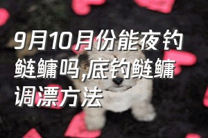 9月10月份能夜钓鲢鳙吗（底钓鲢鳙调漂方法）