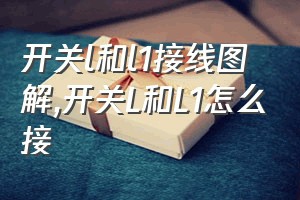 开关l和l1接线图解（开关L和L1怎么接）