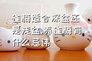 雀梅适合深盆还是浅盆（养雀梅有什么忌讳）