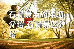 石林景点的详细介绍（石林景区介绍）