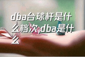 dba台球杆是什么档次（dba是什么）