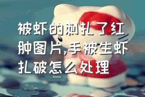 被虾的刺扎了红肿图片（手被生虾扎破怎么处理）