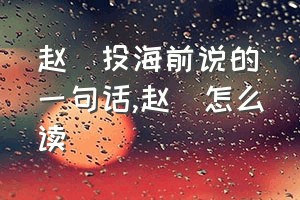 赵昺投海前说的一句话（赵昺怎么读）