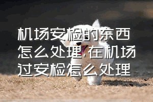 机场安检的东西怎么处理（在机场过安检怎么处理）