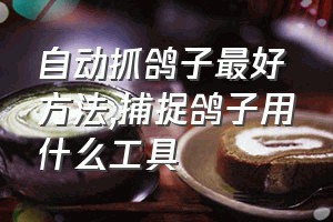 自动抓鸽子最好方法（捕捉鸽子用什么工具）