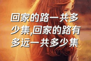 回家的路一共多少集（回家的路有多远一共多少集）