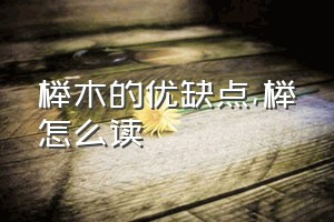 榉木的优缺点（榉怎么读）