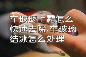 车玻璃上霜怎么快速去除（车玻璃结冰怎么处理）