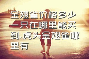 金翅雀价格多少一只在哪里能买到（虎头金翅雀哪里有）