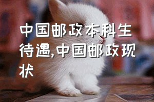 中国邮政本科生待遇（中国邮政现状）