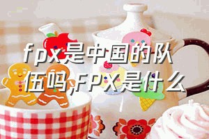 fpx是中国的队伍吗（FPX是什么）