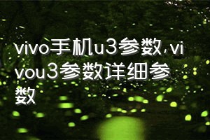 vivo手机u3参数（vivou3参数详细参数）