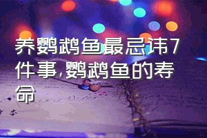 养鹦鹉鱼最忌讳7件事（鹦鹉鱼的寿命）