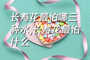 长寿花最怕哪三种水（长寿花最怕什么）