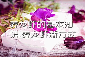 养龙虾的基本知识（养龙虾新方式）