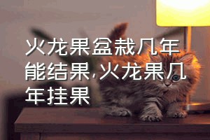 火龙果盆栽几年能结果（火龙果几年挂果）