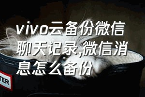 vivo云备份微信聊天记录（微信消息怎么备份）