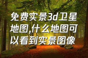 免费实景3d卫星地图（什么地图可以看到实景图像）