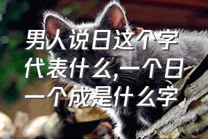 男人说日这个字代表什么（一个日一个成是什么字）