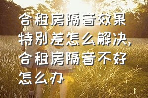 合租房隔音效果特别差怎么解决（合租房隔音不好怎么办）