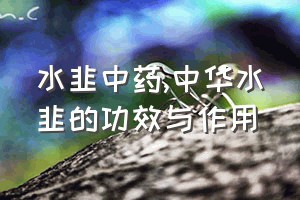 水韭中药（中华水韭的功效与作用）