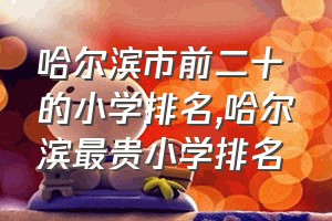 哈尔滨市前二十的小学排名（哈尔滨最贵小学排名）