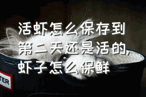 活虾怎么保存到第二天还是活的（虾子怎么保鲜）