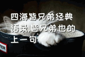 四海皆兄弟经典语录（皆兄弟也的上一句）