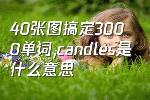 40张图搞定3000单词（candles是什么意思）