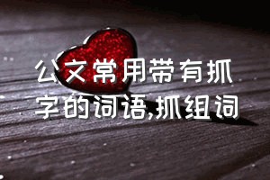 公文常用带有抓字的词语（抓组词）