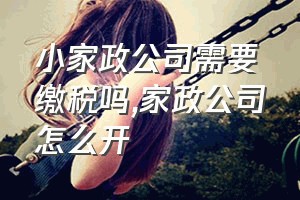 小家政公司需要缴税吗（家政公司怎么开）