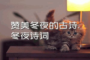 赞美冬夜的古诗（冬夜诗词）