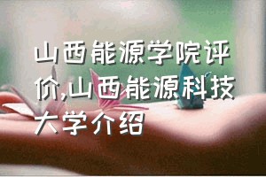 山西能源学院评价（山西能源科技大学介绍）