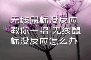 无线鼠标没反应教你一招（无线鼠标没反应怎么办）