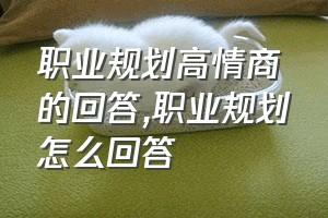 职业规划高情商的回答（职业规划怎么回答）