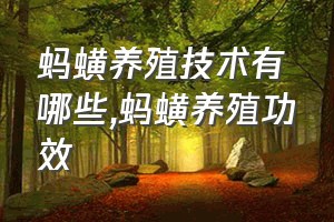 蚂蟥养殖技术有哪些（蚂蟥养殖功效）