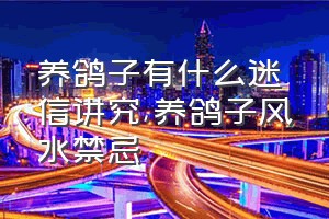 养鸽子有什么迷信讲究（养鸽子风水禁忌）