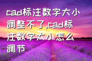 cad标注数字大小调整不了（cad标注数字太小怎么调节）