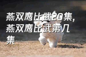 燕双鹰比武20集（燕双鹰比武第几集）