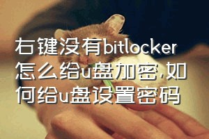 右键没有bitlocker怎么给u盘加密（如何给u盘设置密码）