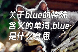 关于blue的特殊含义的单词（blue是什么意思）