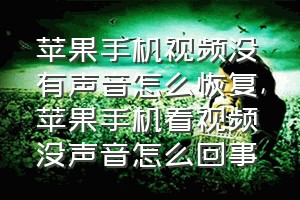 苹果手机视频没有声音怎么恢复（苹果手机看视频没声音怎么回事）