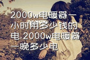 2000w电暖器一小时用多少钱的电（2000w电暖器一晚多少电）