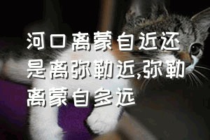 河口离蒙自近还是离弥勒近（弥勒离蒙自多远）