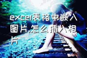 excel表格中嵌入图片（怎么插入相片）