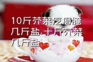 10斤芥菜疙瘩腌几斤盐（十斤芥菜几斤盐）