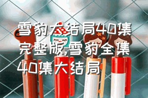 雪豹大结局40集完整版（雪豹全集40集大结局）