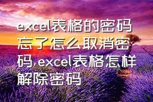 excel表格的密码忘了怎么取消密码（excel表格怎样解除密码）