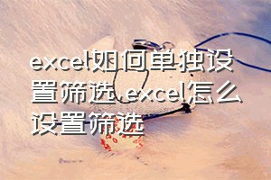 excel如何单独设置筛选（excel怎么设置筛选）