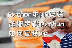 python中pip安装详细步骤（python如何安装pip）